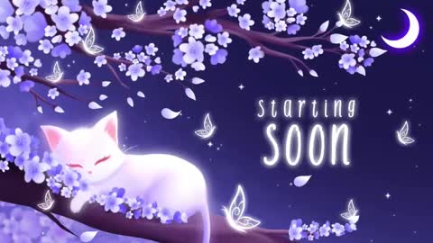 Sassy Sami Kittyn online show from 03/03/25, 06:59