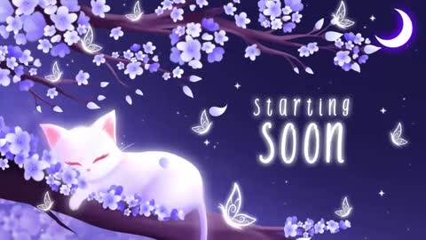 Sassy Sami Kittyn online show from 03/11/25, 05:05