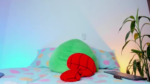     online show from 11/19/25, 08:14