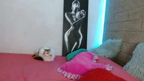 Sativa online show from 12/13/24, 04:05