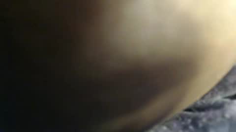 Snapshot of sauce_pety chatting on 02/03/26, 07:41 pety online show from 02/03/26, 07:41