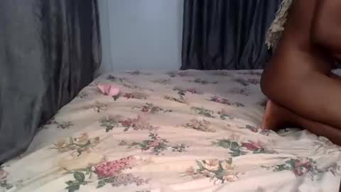 pety online show from 04/20/26, 06:31