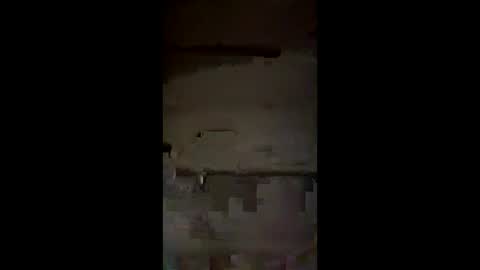 Snapshot of saucysissyuk46 chatting on 03/03/26, 01:56 saucysissyuk46 online show from 03/03/26, 01:56