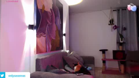 Snapshot of savanna_wallace chatting on 09/10/25, 11:27 Savannaredhair 33 Angelebony33 online show from 09/10/25, 11:27