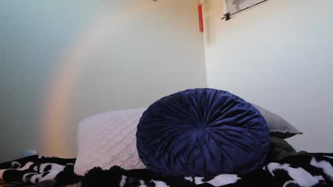 sbe20012 online show from 12/15/24, 09:31