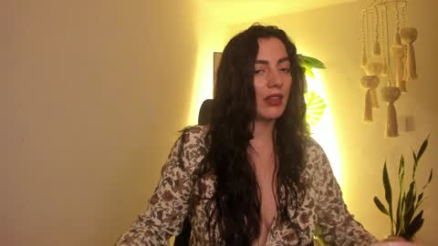 Snapshot of scalertt__steel_ chatting on 01/05/25, 02:30 Venus online show from 01/05/25, 02:30