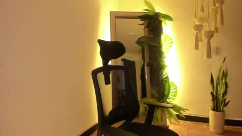 Snapshot of scalertt__steel_ chatting on 01/21/25, 06:02 Venus online show from 01/21/25, 06:02
