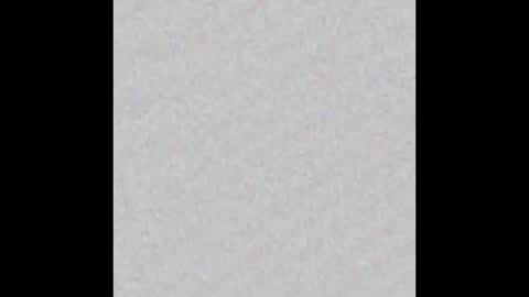 Snapshot of scalertt__steel_ chatting on 02/02/25, 02:24 Venus online show from 02/02/25, 02:24