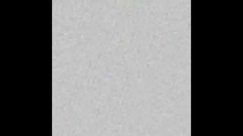 Snapshot of scalertt__steel_ chatting on 09/15/25, 01:33 Venus online show from 09/15/25, 01:33