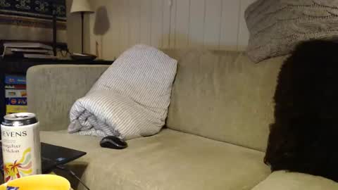 Scand online show from 03/01/26, 12:12