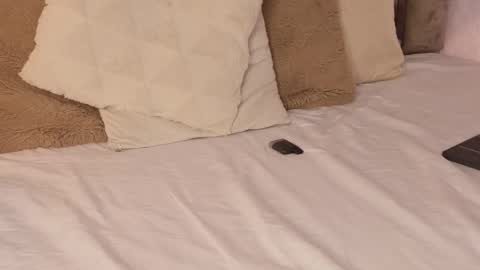 Snapshot of scarleth_lux_ chatting on 10/16/25, 06:14 Scarleth online show from 10/16/25, 06:14