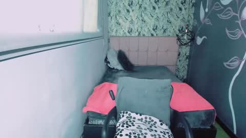 S C A R L E T online show from 01/15/25, 11:53