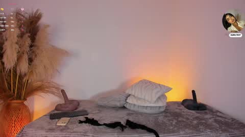 Snapshot of scarlett_keitt chatting on 06/06/26, 11:48 scarlet online show from 06/06/26, 11:48
