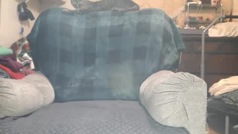 Scarlotta online show from 02/04/26, 09:53