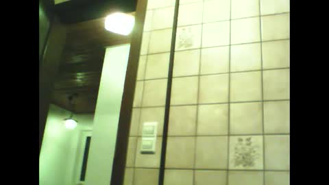 Snapshot of schnibschnab chatting on 11/30/25, 08:46 schnibschnab online show from 11/30/25, 08:46