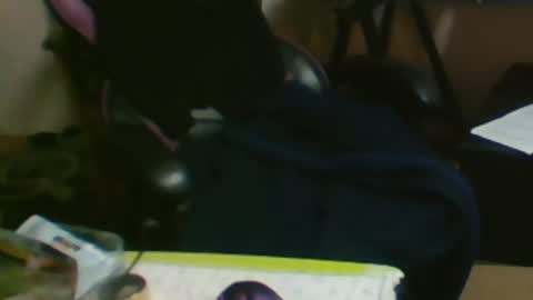 Snapshot of schnico chatting on 10/20/25, 05:57 schmidti online show from 10/20/25, 05:57