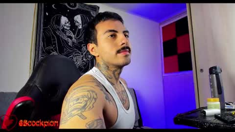 Snapshot of scockpion_ chatting on 02/01/26, 07:51 Alejandro help me to reach 200 thumps up online show from 02/01/26, 07:51