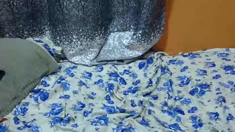 Snapshot of scorviaamanda254 chatting on 01/24/25, 03:11 Its Lilly online show from 01/24/25, 03:11