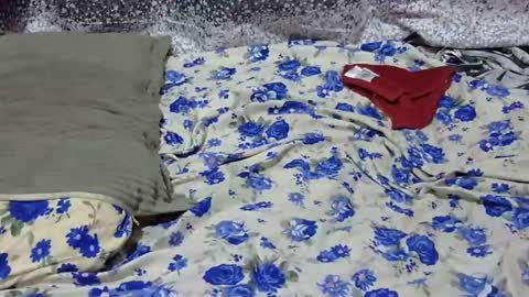 Snapshot of scorviaamanda254 chatting on 01/25/25, 03:09 Its Lilly online show from 01/25/25, 03:09