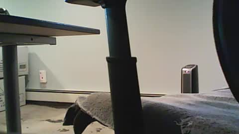 scottie813 online show from 12/12/24, 08:32