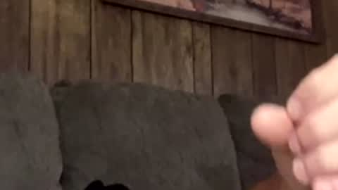 scottpolars online show from 04/19/26, 04:17