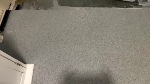 scottyc48 online show from 01/06/26, 01:48