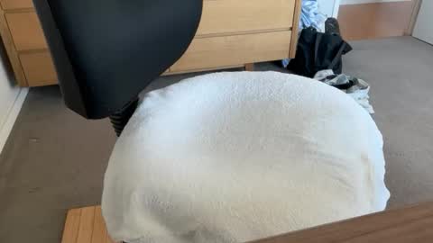 scottyeah80 online show from 01/17/26, 02:16