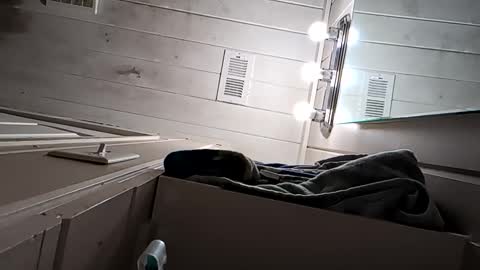 Arin online show from 04/22/26, 09:55