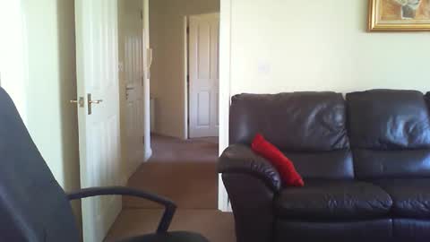 seakrait online show from 03/19/26, 10:41