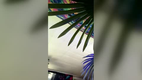 seanplushouse online show from 02/28/26, 07:48