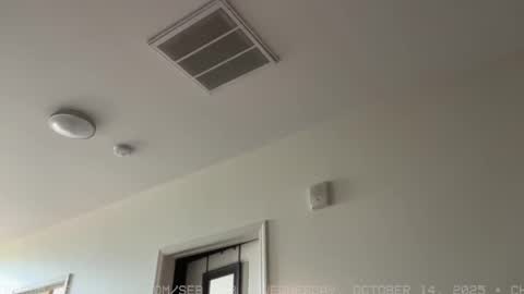 Sebastian online show from 10/15/25, 06:08