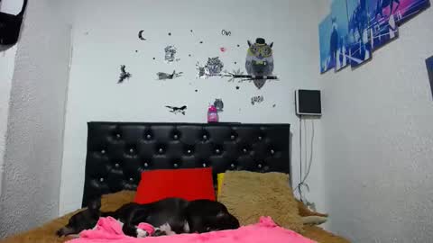 Myystiic online show from 01/21/25, 02:22