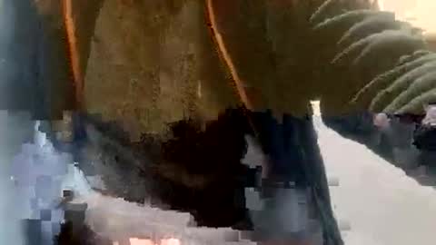 Snapshot of sebtin1979 chatting on 02/23/26, 02:36 sebtin1979 online show from 02/23/26, 02:36