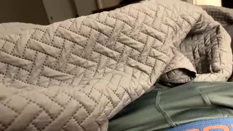 secretlyseductive9399 online show from 12/08/24, 01:14