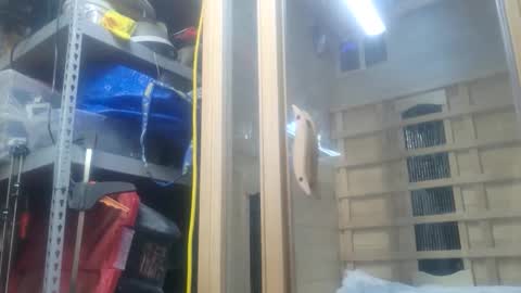 Snapshot of seeker404 chatting on 10/26/25, 11:09 Seeker online show from 10/26/25, 11:09