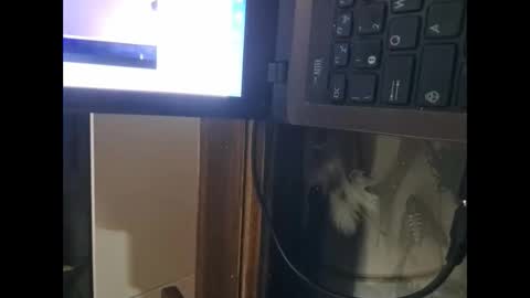 segaiolo21cm online show from 04/13/26, 09:31