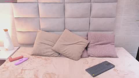 Snapshot of seikibee chatting on 02/19/26, 03:46 seikibee online show from 02/19/26, 03:46