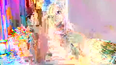 Snapshot of selenashemale chatting on 09/24/25, 01:31 Selena online show from 09/24/25, 01:31