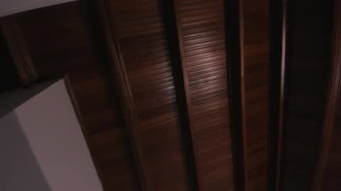 Selene online show from 01/18/26, 04:16