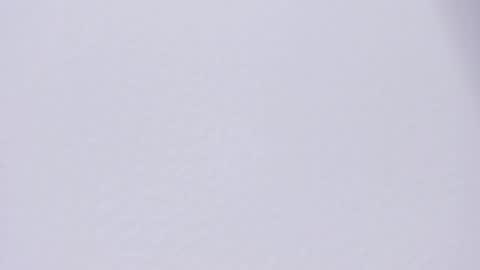 selenne_rouse online show from 04/27/26, 12:19