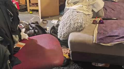 BiG DicK online show from 04/08/26, 07:08