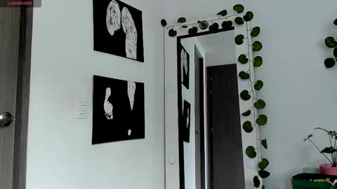 Selyn online show from 02/13/26, 02:24