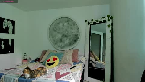 Selyn online show from 04/06/26, 02:51