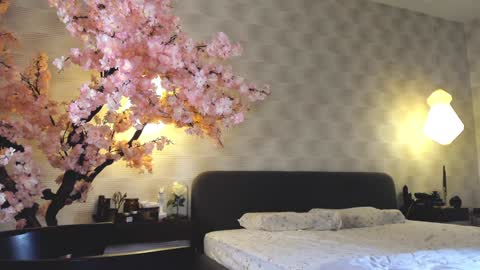 Gia online show from 12/28/24, 07:22