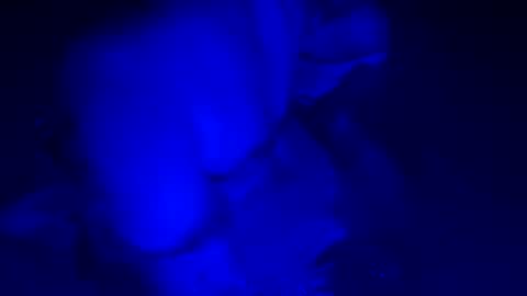 Snapshot of sensualsilhoutte chatting on 07/11/26, 04:04 sensualsilhoutte online show from 07/11/26, 04:04