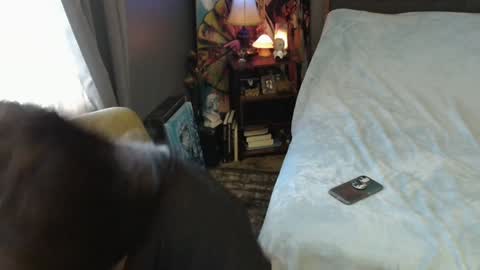 Tara online show from 02/02/25, 04:00