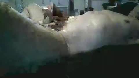 Snapshot of sexboy1437 chatting on 11/24/25, 10:15 sexboy1437 online show from 11/24/25, 10:15