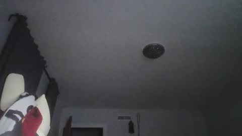 Snapshot of sexbrute chatting on 05/17/26, 01:03 sexbrute online show from 05/17/26, 01:03