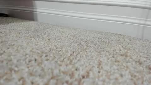 FerrariManni online show from 12/09/24, 02:28