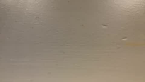 sexislitpuss69 online show from 01/01/25, 11:40